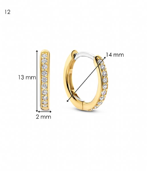 TI SENTO - Milano  925 Sterling Silver Earrings 7812ZY Zirconia white yellow gold plated