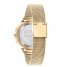 Tommy Hilfiger  Iris Gold Plated