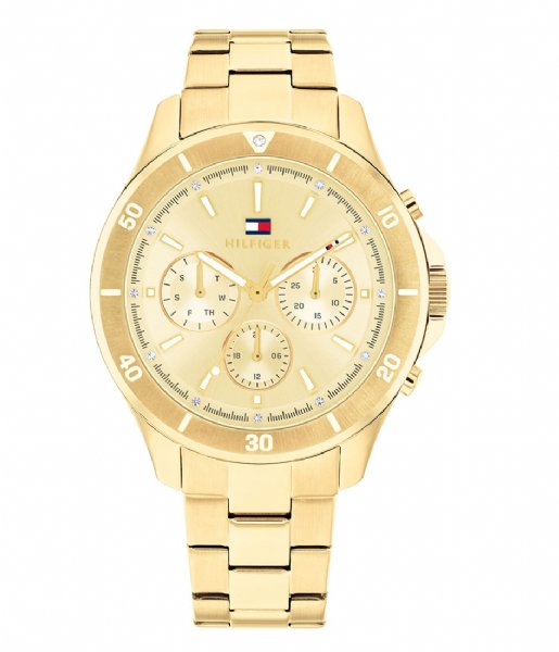 Tommy Hilfiger  Aspen TH1782640 Gold plated