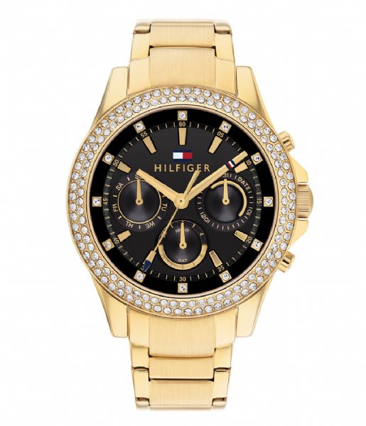 Tommy Hilfiger  Haven TH1782676 Gold plated