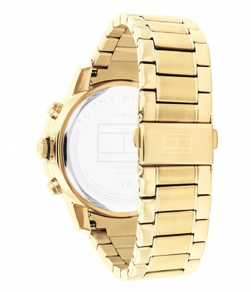 Tommy Hilfiger  Troy TH1792109 Gold plated