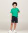 Tommy Hilfiger  2-Pack Short Sleeve Tee Olympic Green-Desert Sky (0TV)