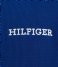 Tommy Hilfiger  Short Sleeve Tee Anchor Blue (C5J)