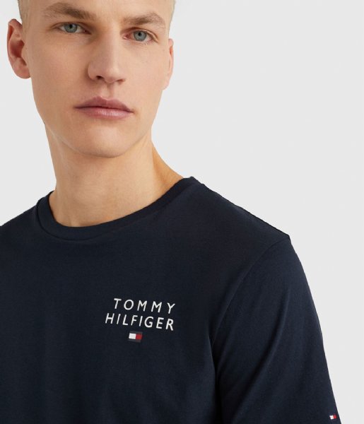 Tommy Hilfiger  Crewneck Short Sleeve Tee Logo Desert Sky (DW5)