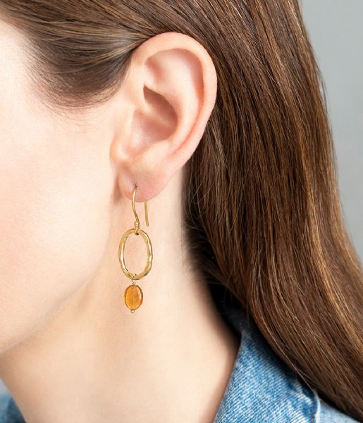 A Beautiful Story Oorbellen Graceful Citrine Gold Plated Earrings gold plated (AW25134)