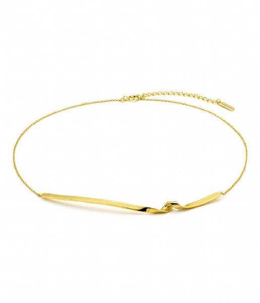 Ania Haie  Giftset Helix Lariat and twist Necklace Gold colored