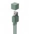 Avolt  Cable 1 USB A to lightning Oak Green (C1-USB-C89-18-GR)