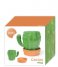 Balvi  Mug Cactus 450ml Green