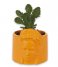 Balvi  Mini Flower Pot Frida Yellow