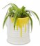 Balvi  Flower Pot Painty Yellow