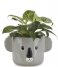 Balvi  Flower Pot Koala Gray