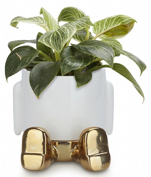 Balvi  Flower Pot Mr Sitty Gold Edition Golden
