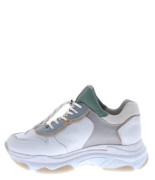 Bronx  Low Shoe Baisley o.white/sage green/grey (3559)