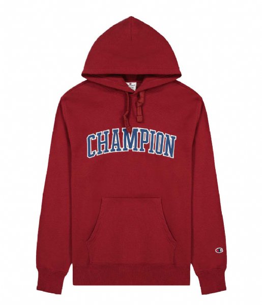 champions trui