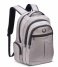 Delsey  Elements Backpacks Flier Grey