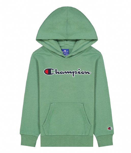Champion  Hooded Sweatshirt Dark Ivy (GS098)