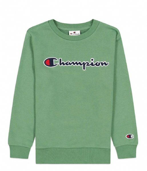 In hoeveelheid magneet calorie Champion trui Kids Crewneck Sweatshirt Dark Ivy (GS098) | The Little Green  Bag