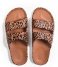 Freedom Moses  Fancy Slides Leo   Toffee