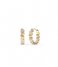 Guess  Earrings Re-Leaf JUBE01333JWYGT Gold