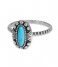 iXXXi  Indian Turquoise Silver colored (03)