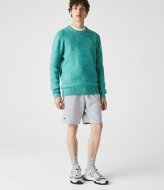 Lacoste 1HG1 Mens shorts 1121 Silver Chine (CCA)