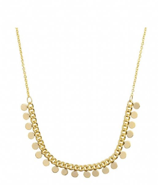 My Jewellery  Tiny Coin Necklace gold (1200)