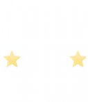 My Jewellery Oorbellen Star Stud Small Goud my jewellery kopen in de aanbieding
