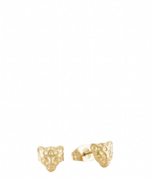 My Jewellery  Studs luipaard goudkleurig (1200)