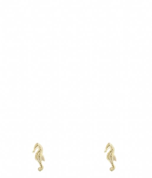 My Jewellery  Studs zeepaardje goudkleurig (1200)