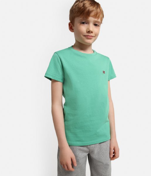 Napapijri  Kids Salis Short Sleeve 2 Green Spruce