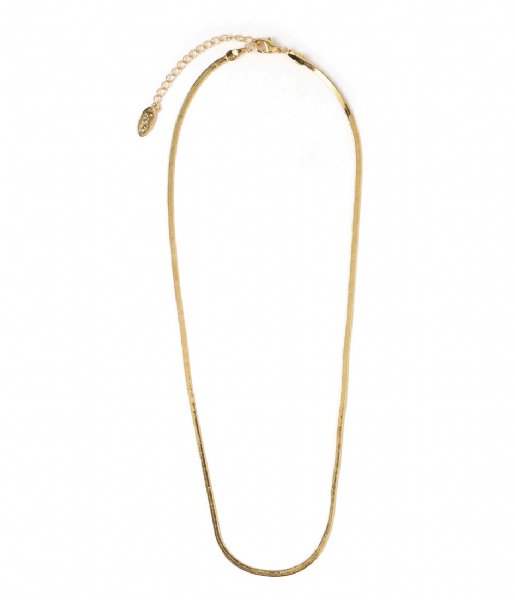 Orelia Ketting Flat Snake Chain Necklace Gold plated