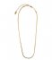 Orelia Ketting Flat Snake Chain Necklace Gold plated