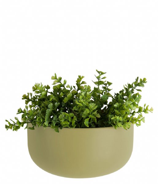 Present Time  Wall plant pot Oval wide ceramic matt Olive Green (PT3384OG)