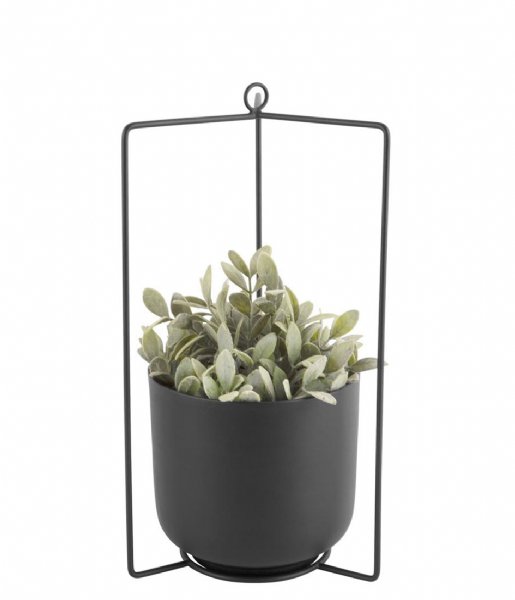 Present Time  Hanging plant pot Spatial iron Black (PT3464BK)
