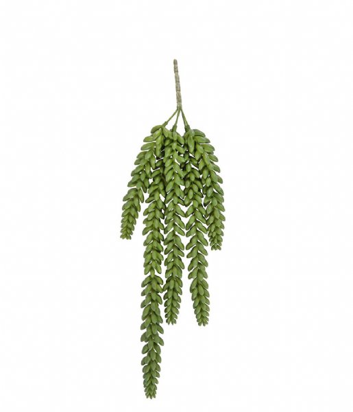 Present Time  Artificial plant Bean Leaves Stem large Stem Large (PT3646)