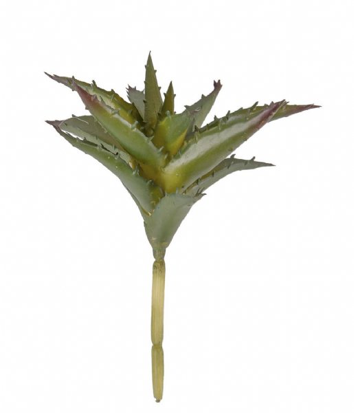Present Time  Artificial plant Aloe Stem Green (PT3648)