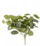 Present Time  Artificial plant Ivy Bush Green (PT3655)