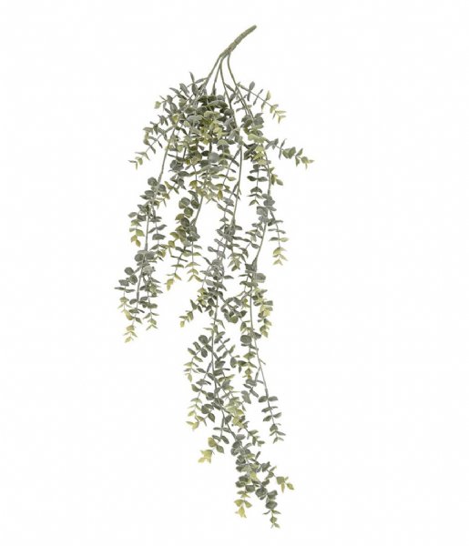 Present Time  Artificial plant Eucalyptus Hang Vine Green (PT3658)