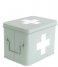 Present Time  Medicine storage box medium metal matt Grayed Jade (PT3770GR)