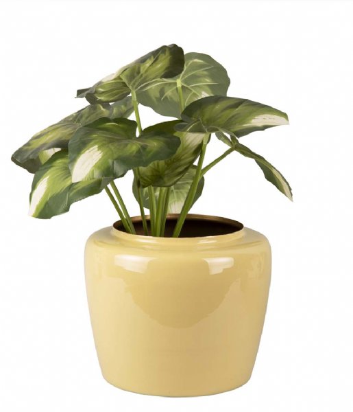 Present Time  Plant pot Grand medium enamel iron Sage Green (PT3858GR)