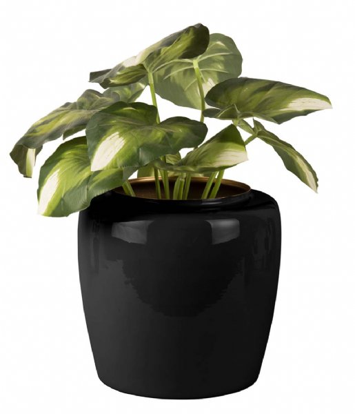 Present Time  Plant pot Grand large enamel iron Black (PT3859BK)
