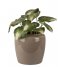 Present Time  Plant pot Grand large enamel iron Warm Grey (PT3859WG)