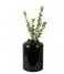 Present Time  Vase Grand large enamel straight Black (PT3861BK)