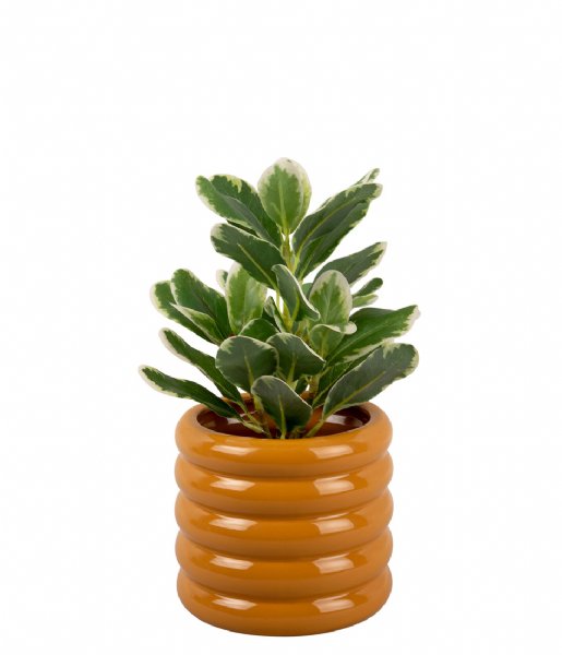 Present Time  Plant Pot Bobbly Glazed Ceramic Small Ochre Yellow (PT3942YE)