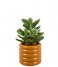 Present Time  Plant Pot Bobbly Glazed Ceramic Small Ochre Yellow (PT3942YE)