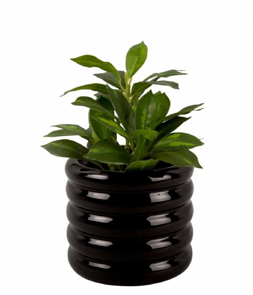 Present Time  Plant Pot Bobbly Glazed Ceramic Medium Black (PT3943BK)