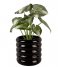 Present Time  Plant Pot Bobbly Glazed Ceramic Large Black (PT3944BK)
