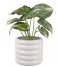 Present Time  Plant Pot Bobbly Glazed Ceramic Large White (PT3944WH)