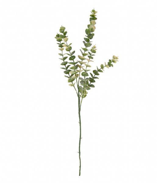 Present Time  Artificial plant Eucalyptus Stem Stem (PT3660)
