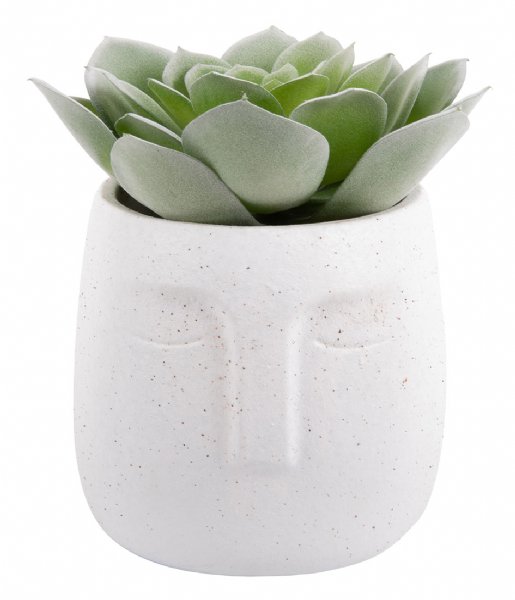 Present Time  Plant pot Face cement white (PT3599WH)